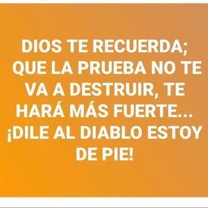 Meet your Posher, Elisa